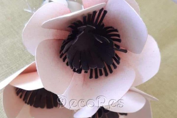 anemoniE636C20C-0B87-892C-9814-354634AEDD55.jpg