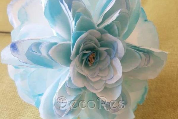 english-rose-light-blueD7E23DEE-564D-9F9B-40E3-B584D06CA789.jpg