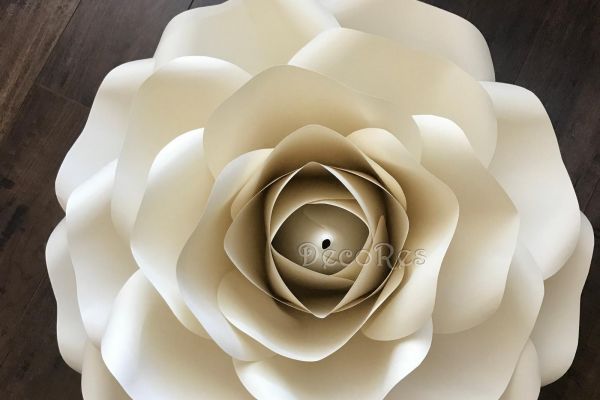 giant-roseB9AE7F84-5C27-0094-B4CE-1E5D1C2E2D7E.jpg