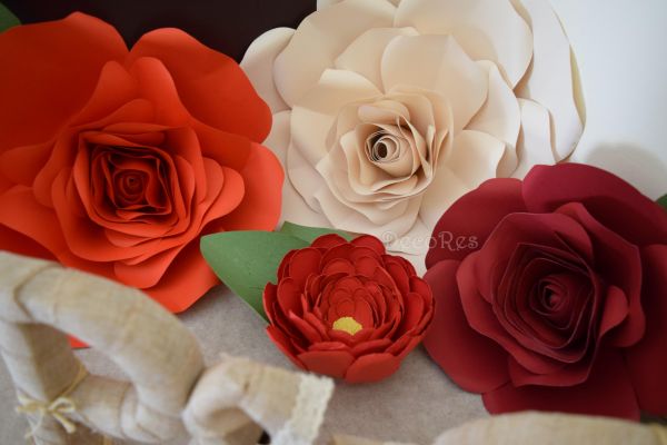 giant-roses0F03928F-899C-385B-369C-A9A1B696ED04.jpg