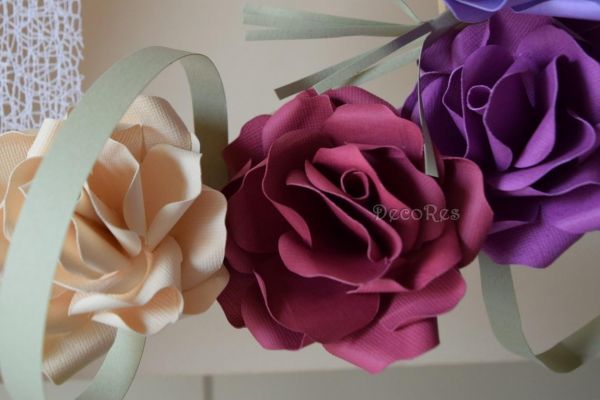jupiter-roses6CD3967E-C3D3-4603-E4AA-4EEEC0BAC565.jpg