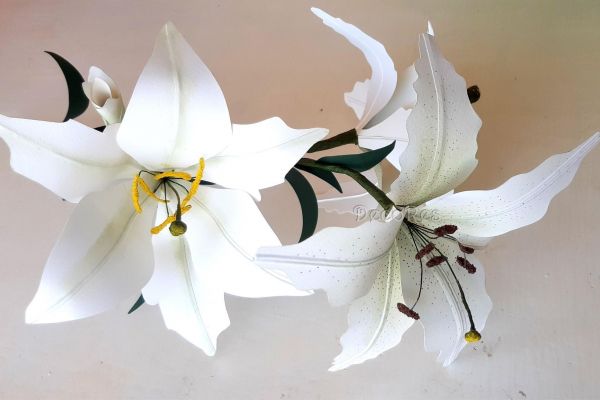 lilium-biancoED2A534E-A16C-27BE-9E03-8C306229804E.jpg