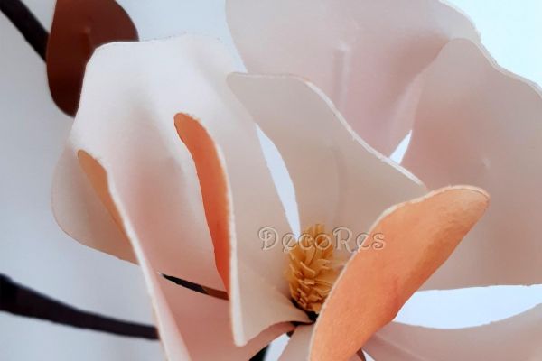 magnolia-particolareE3111A3C-B9BB-7D25-D28C-B18108A50275.jpg