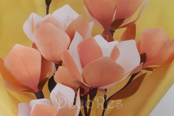 magnoliaFFFE1B14-B487-B2EE-1110-7D73AF1418CA.jpg