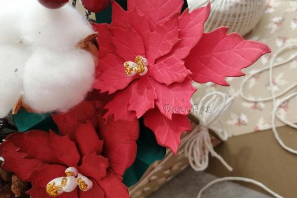 stella-di-natale-e-fiore-di-cotoneC071D0F2-0ACD-A678-32D2-F521202EFC84.jpg
