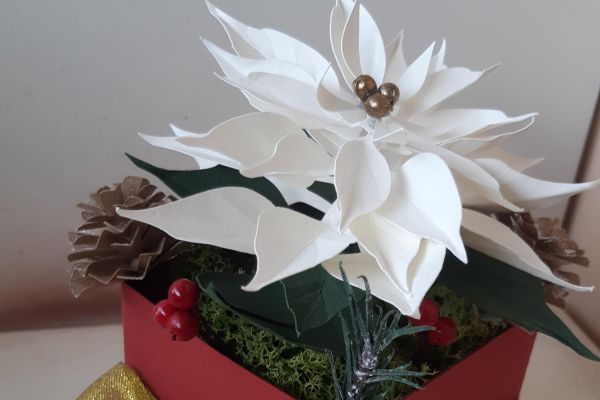 xmas-homedecor-poinsettia-in-boxDE9EA23C-B5C9-6A40-C65F-46F788B741C6.jpg