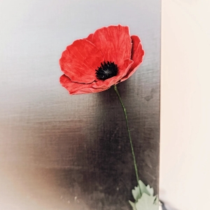 Un fiore al mese - Papavero